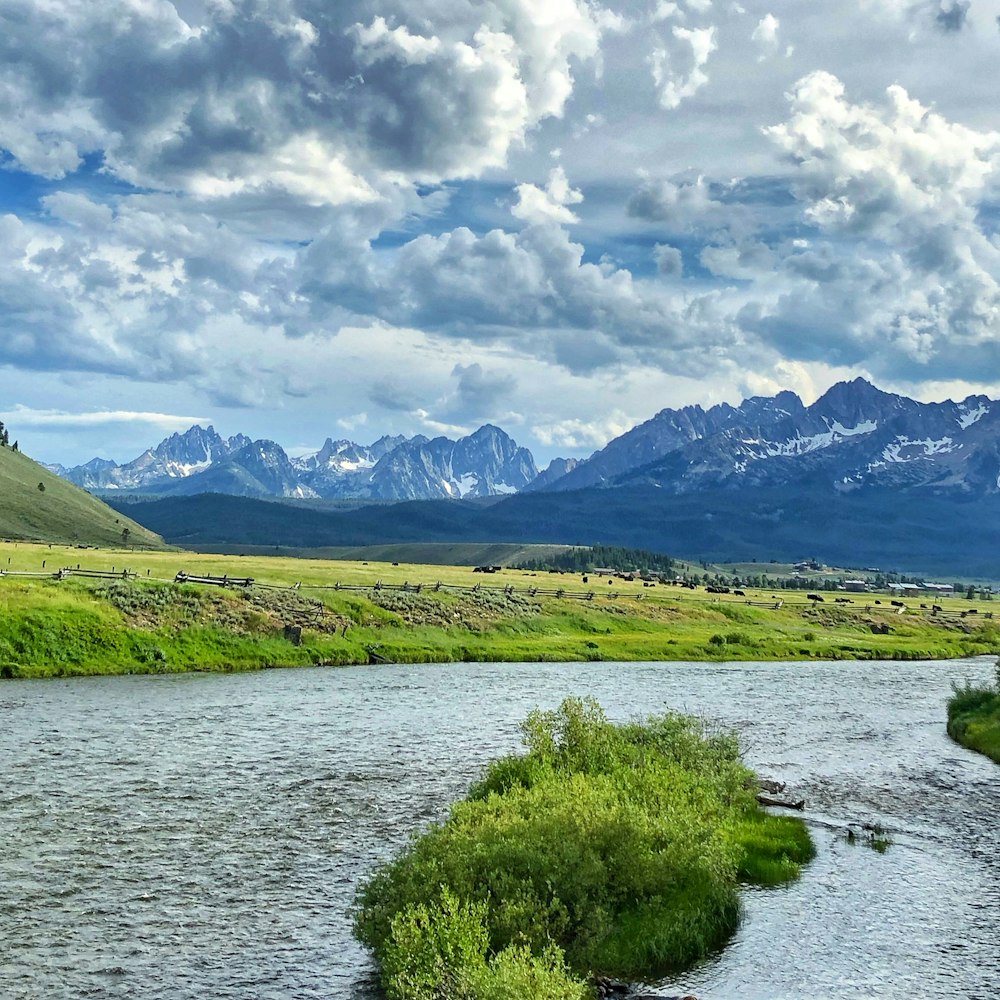 campo de grama verde perto do lago sob nuvens brancas e céu azul durante o dia