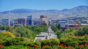 city skyline under blue sky during daytime