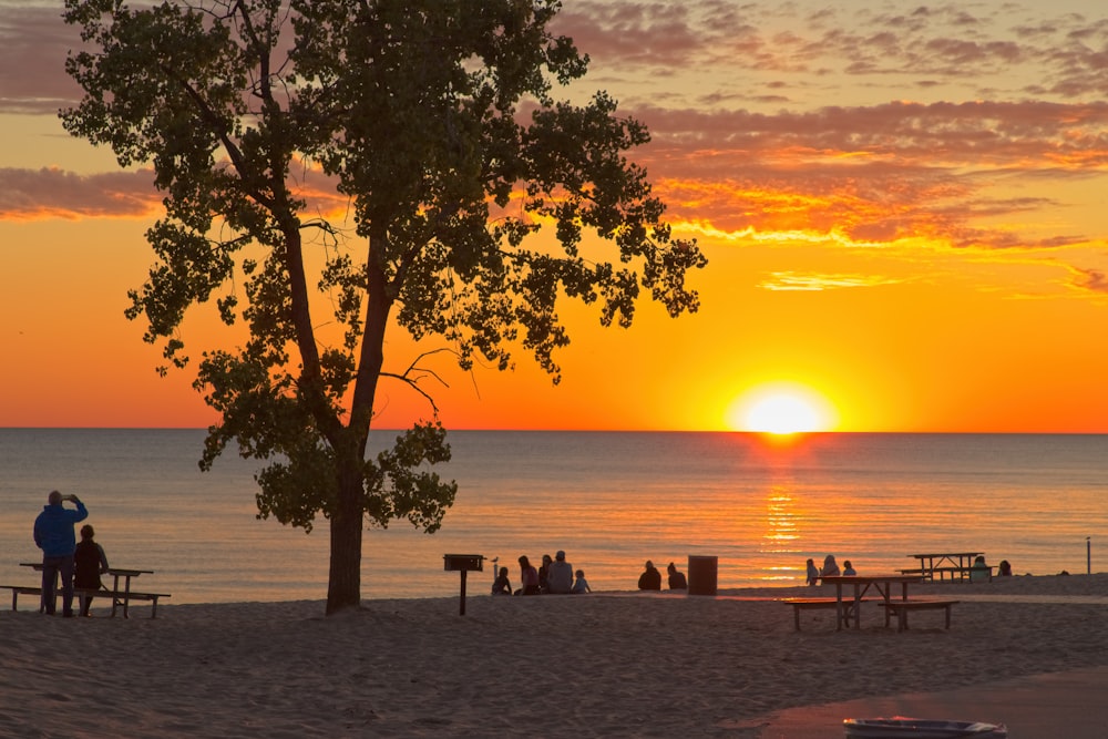 people sitting on bench near beach during sunset