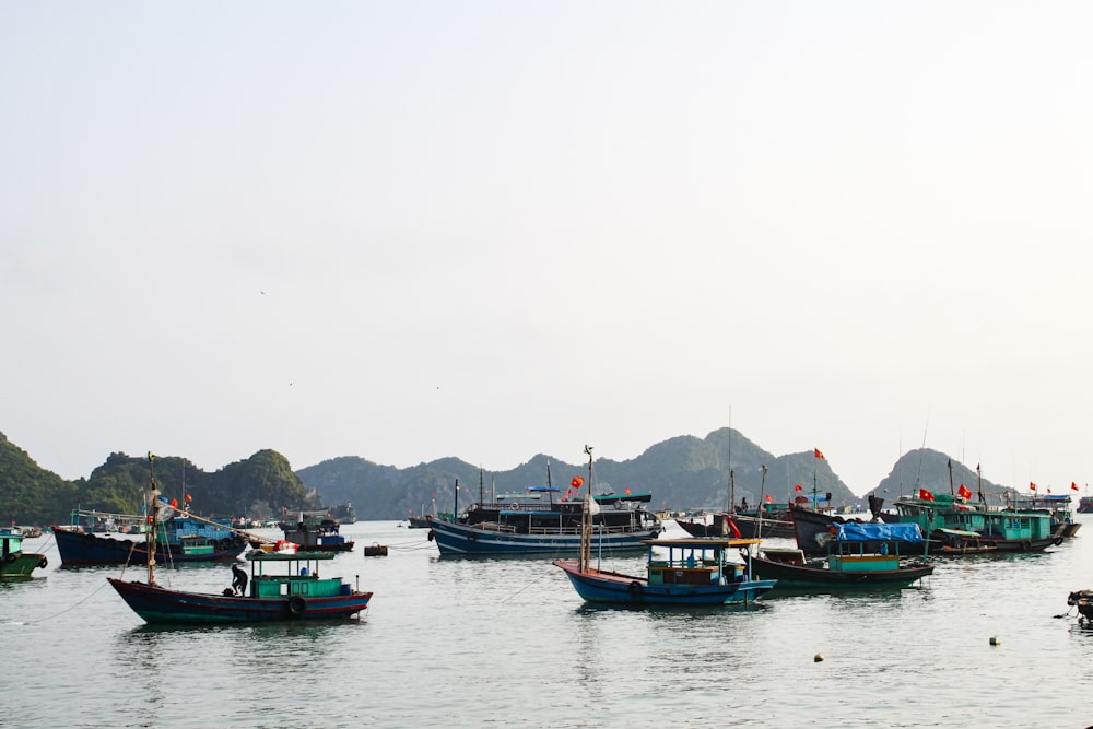 blue and white boat on body of water during daytime