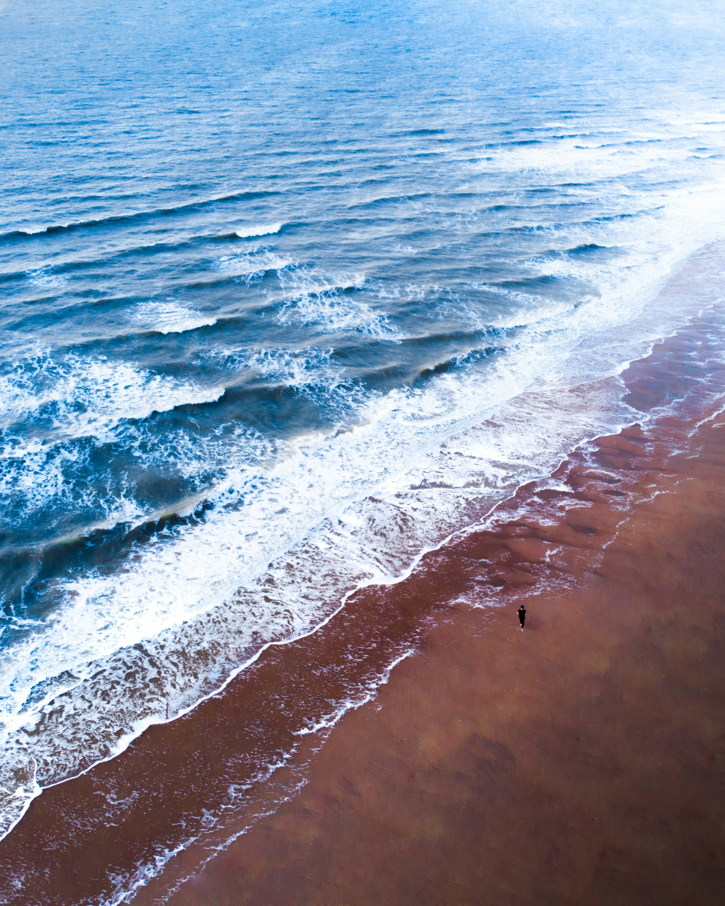 Photo by danieldalea