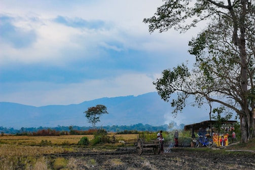 A rural landscape scene with a tree in the foreground, a small group of people gathered near a makeshift stall, and a cart nearby. The background features vast fields extending towards distant mountains under a cloudy sky.