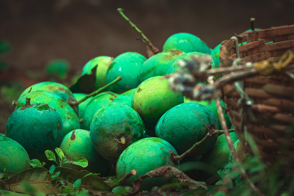 a pile of green fruit sitting on top of a grass covered ground