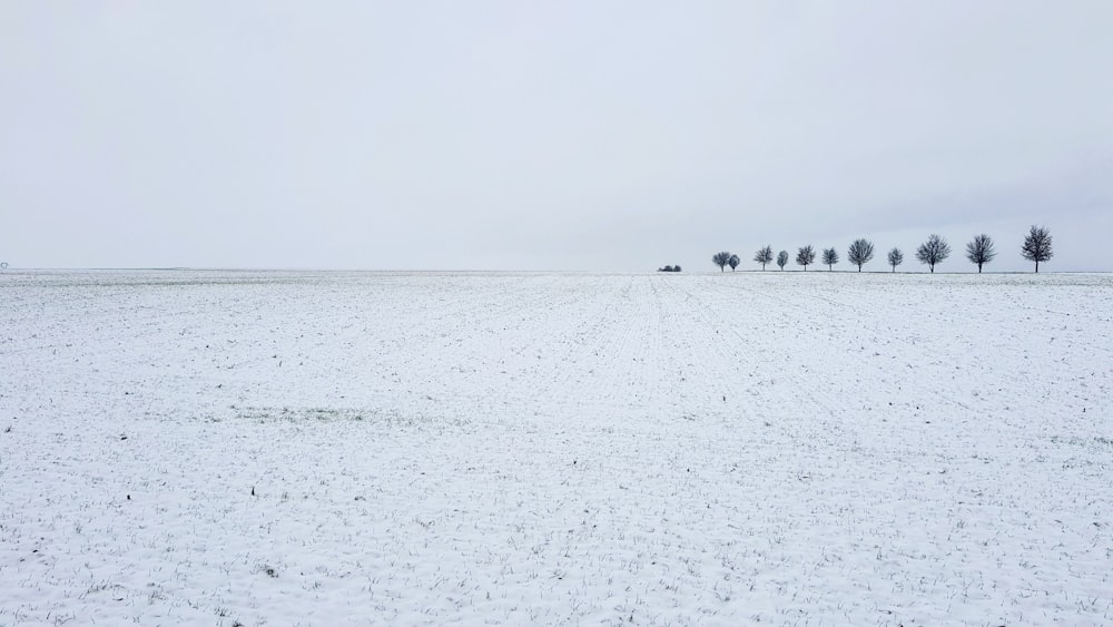 Personas caminando en un campo cubierto de nieve durante el día