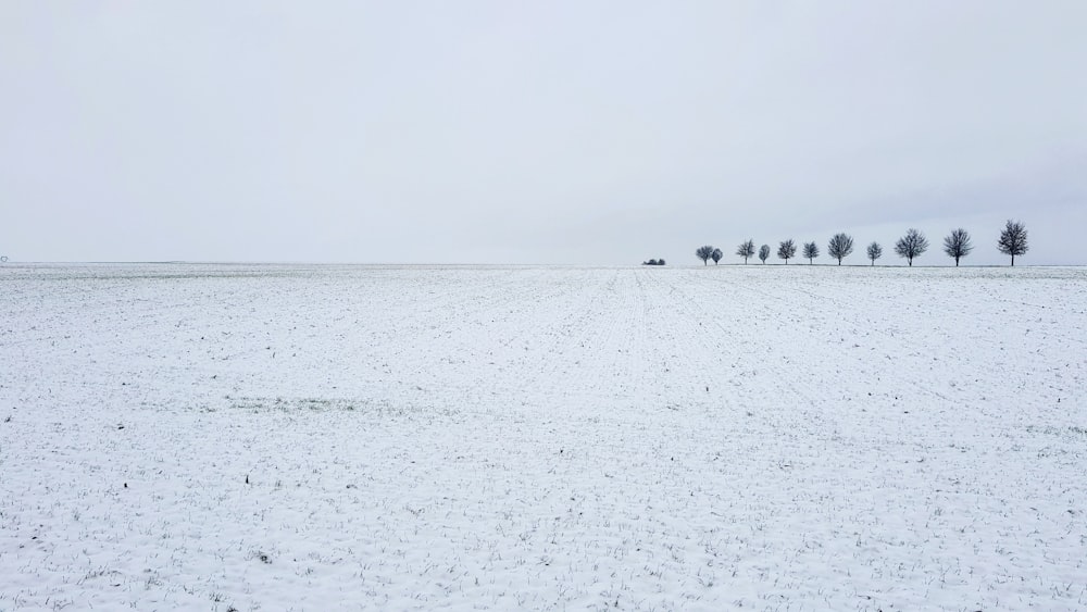 people walking on snow covered field during daytime