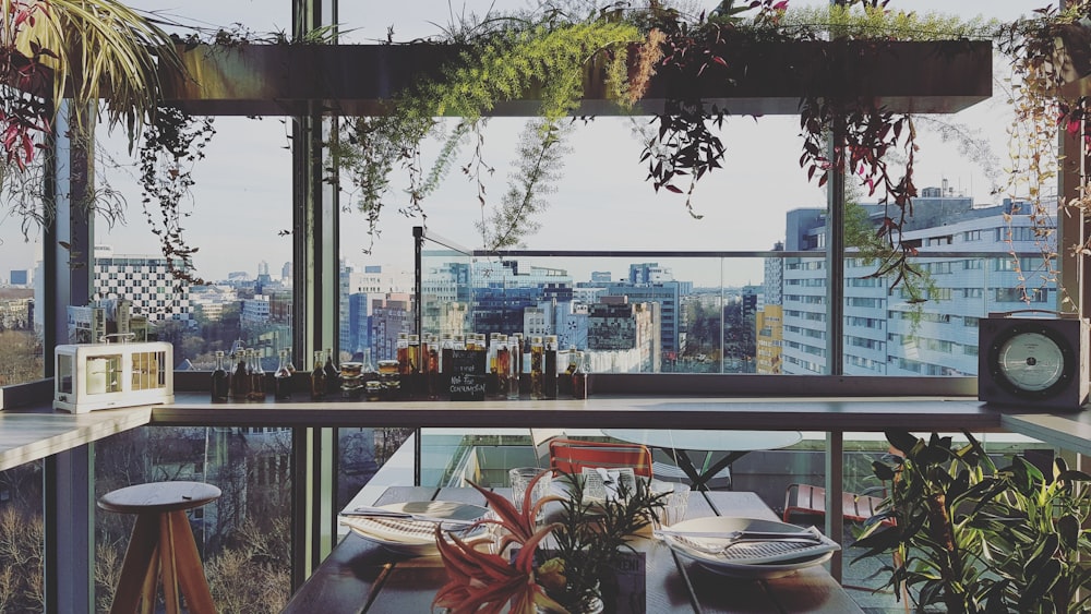 red and white flowers on table