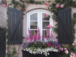 a window with a bunch of flowers in it