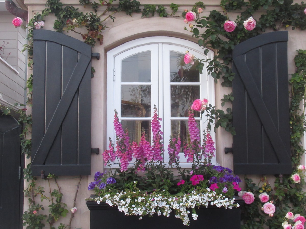Regular Garden Maintenance
