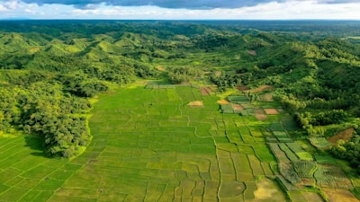 aerial view of green grass field during daytime