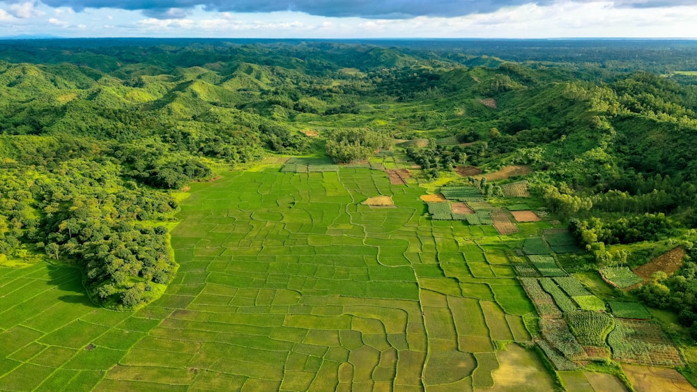 Vue aérienne du champ d’herbe verte pendant la journée