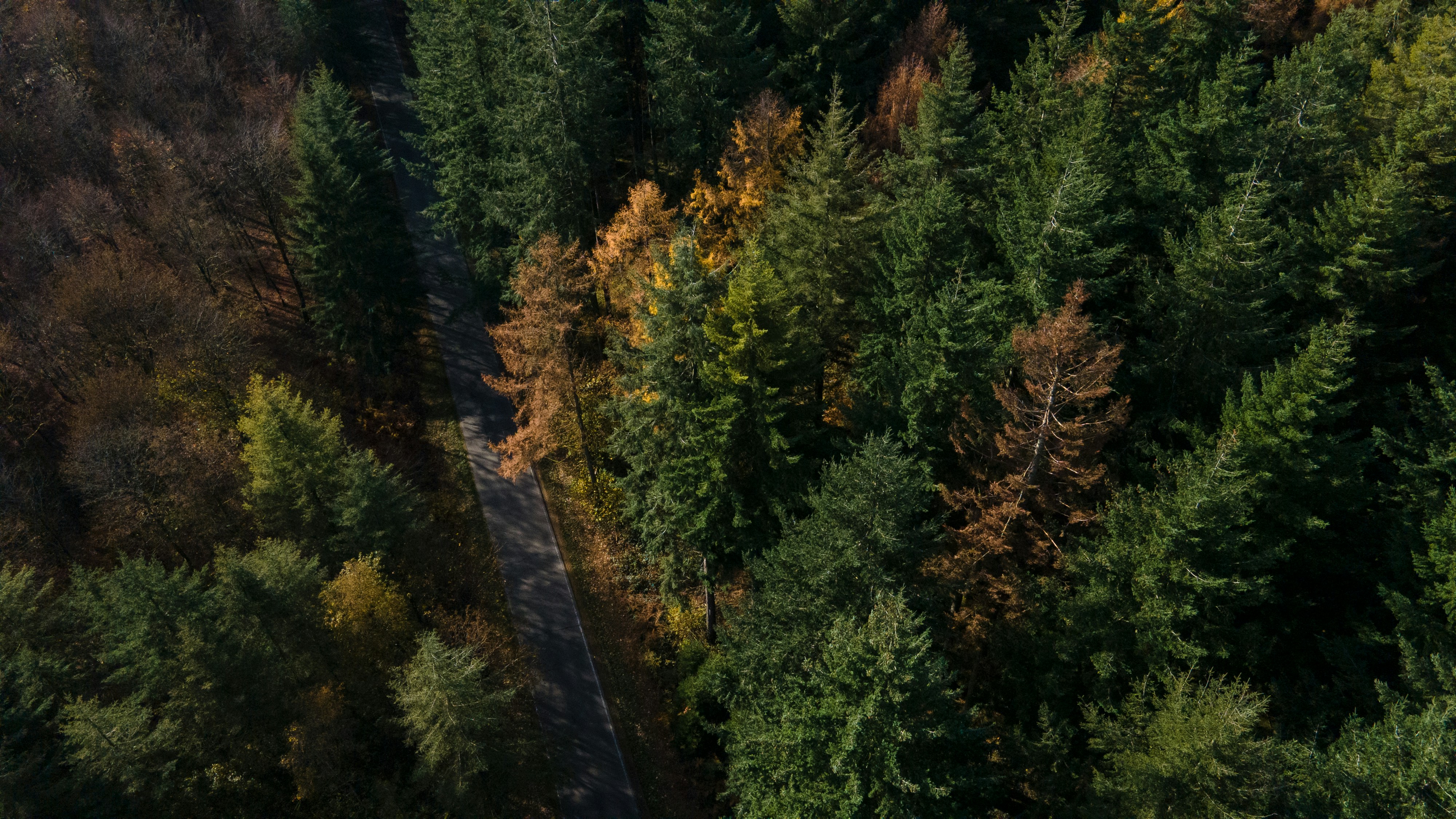 Photo by guillaumevdn