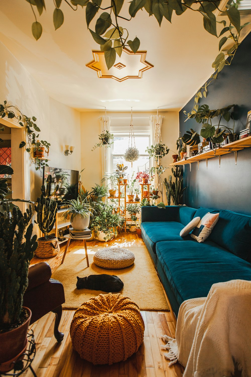 blue sofa with throw pillows