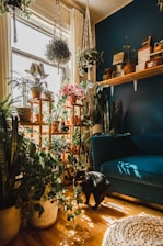 pink flowers on brown wooden table