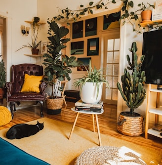 a living room filled with furniture and plants