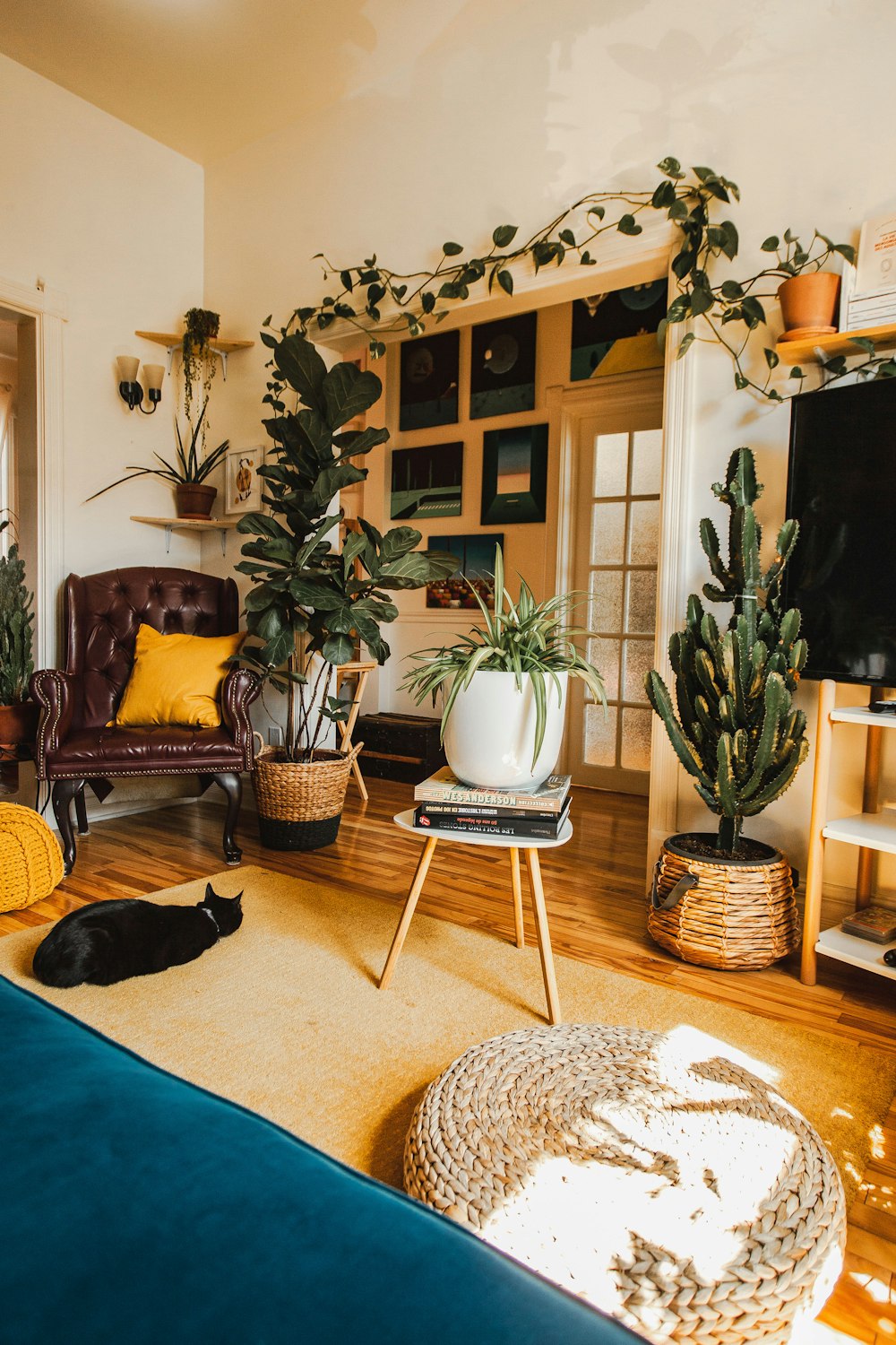 a living room filled with furniture and plants