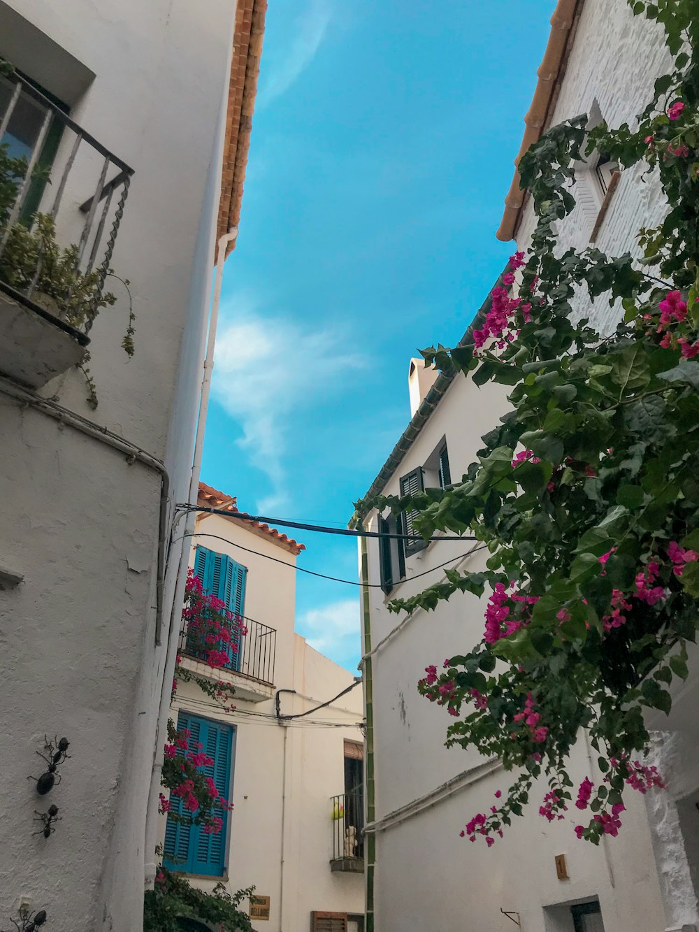 a narrow alleyway with white buildings and pink flowers
