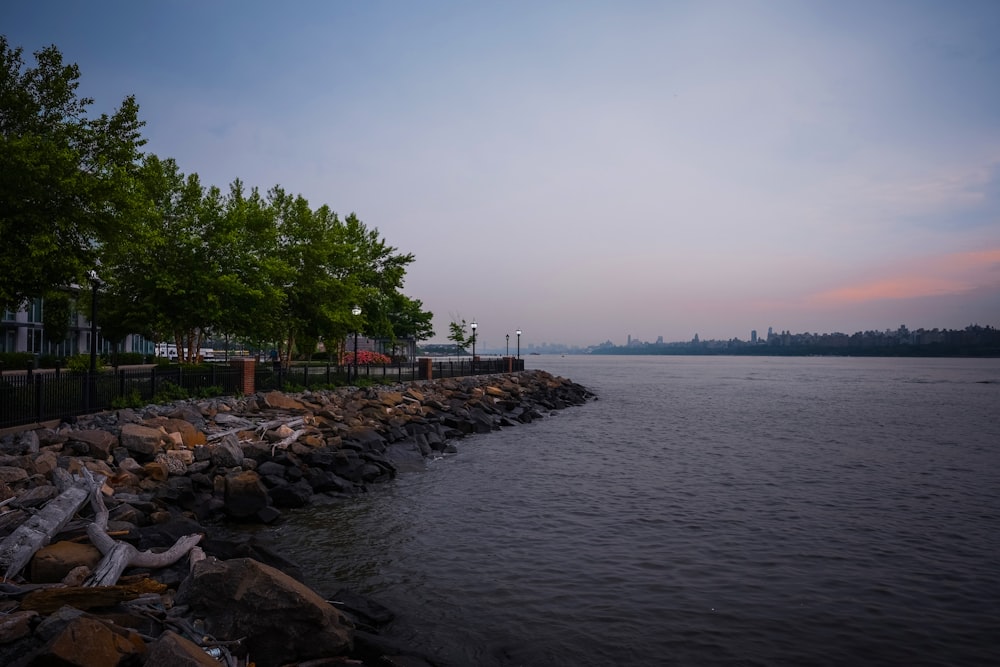 green trees near body of water during daytime