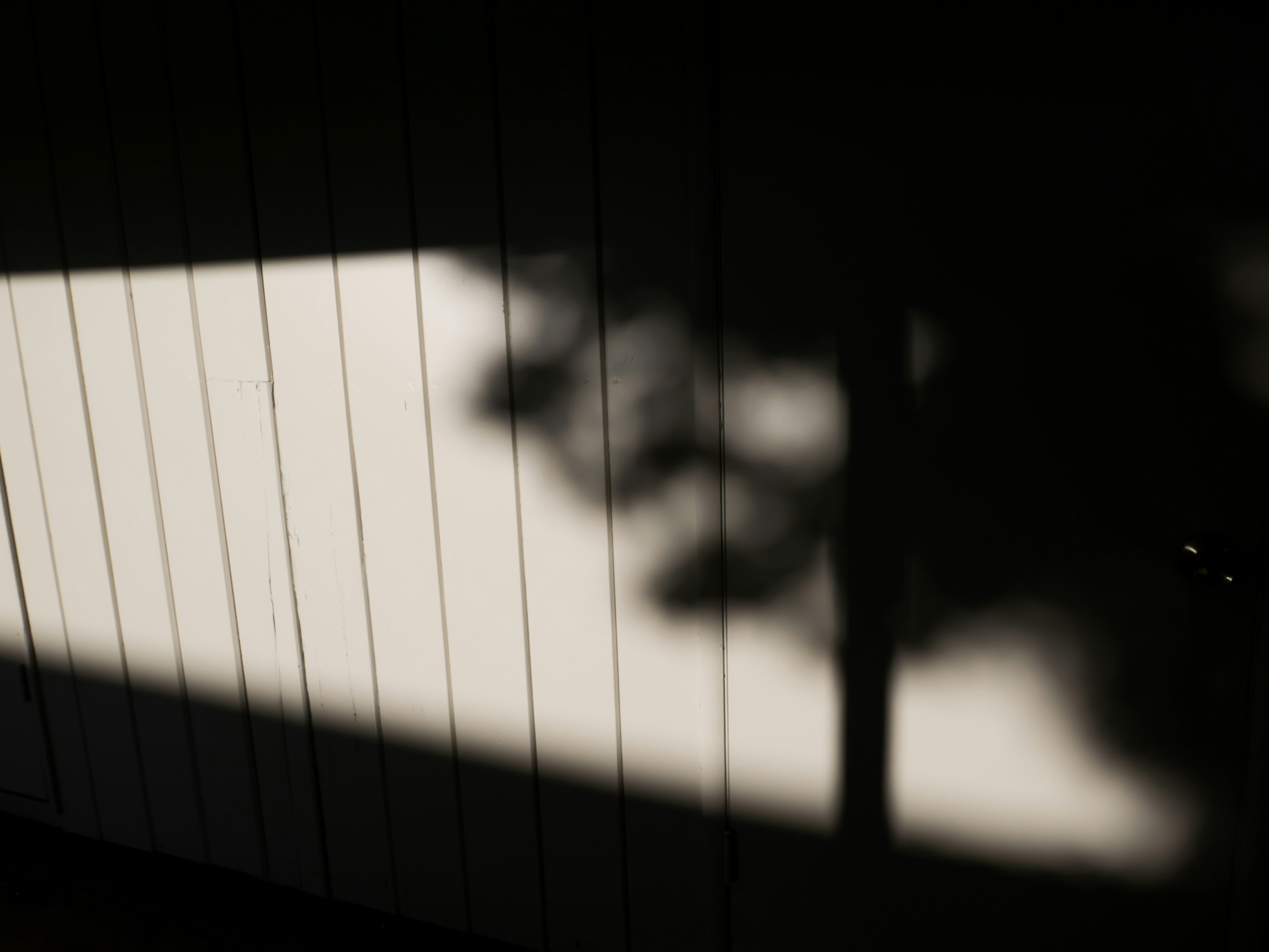 Photo by beyond_the_dream