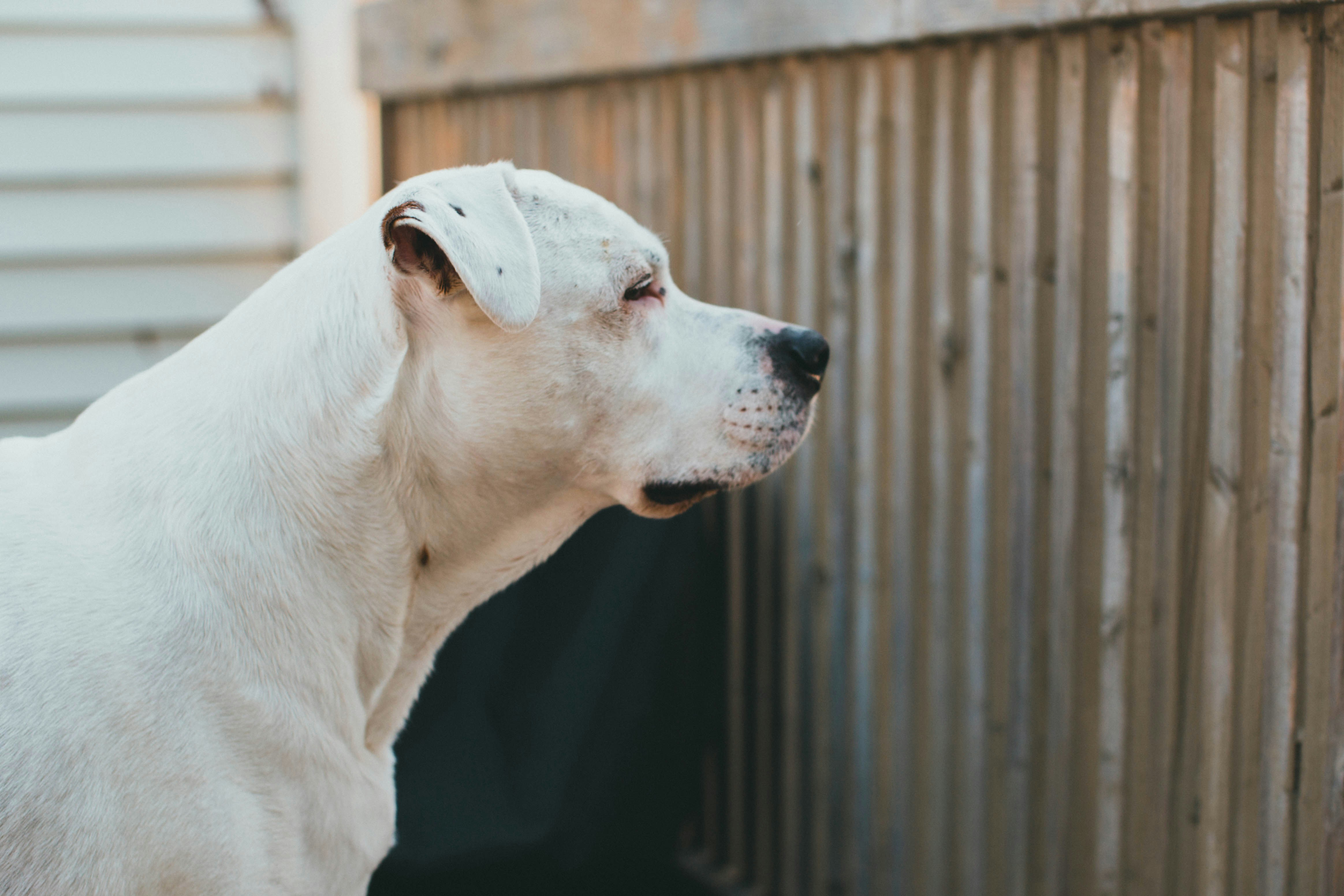 Photo by theshuttervision