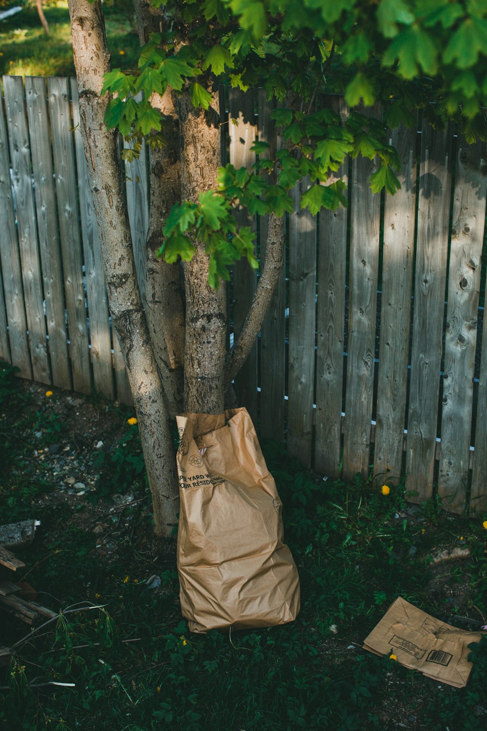 a brown bag sitting under a tree next to a fence