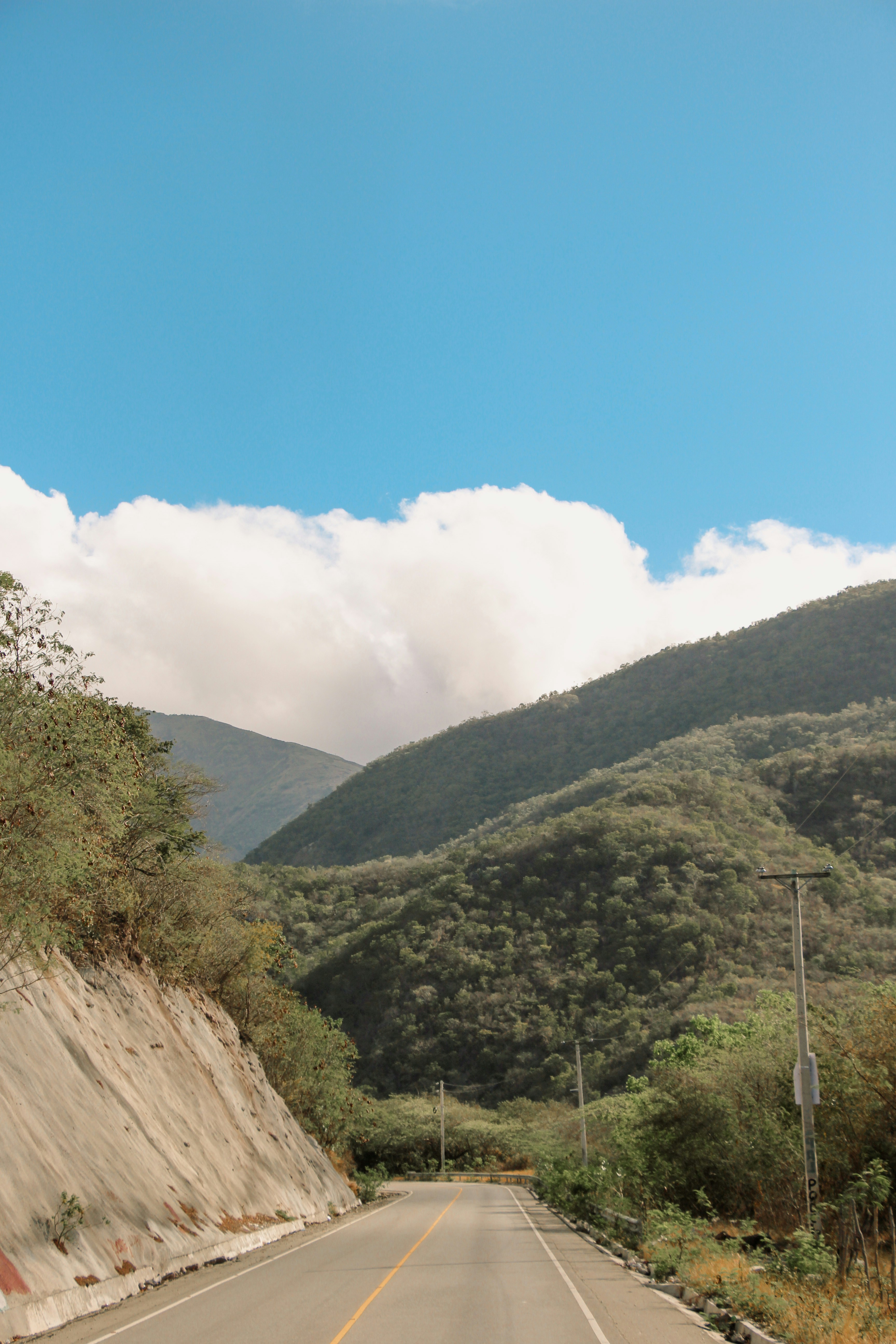 Photo by emelymarchena