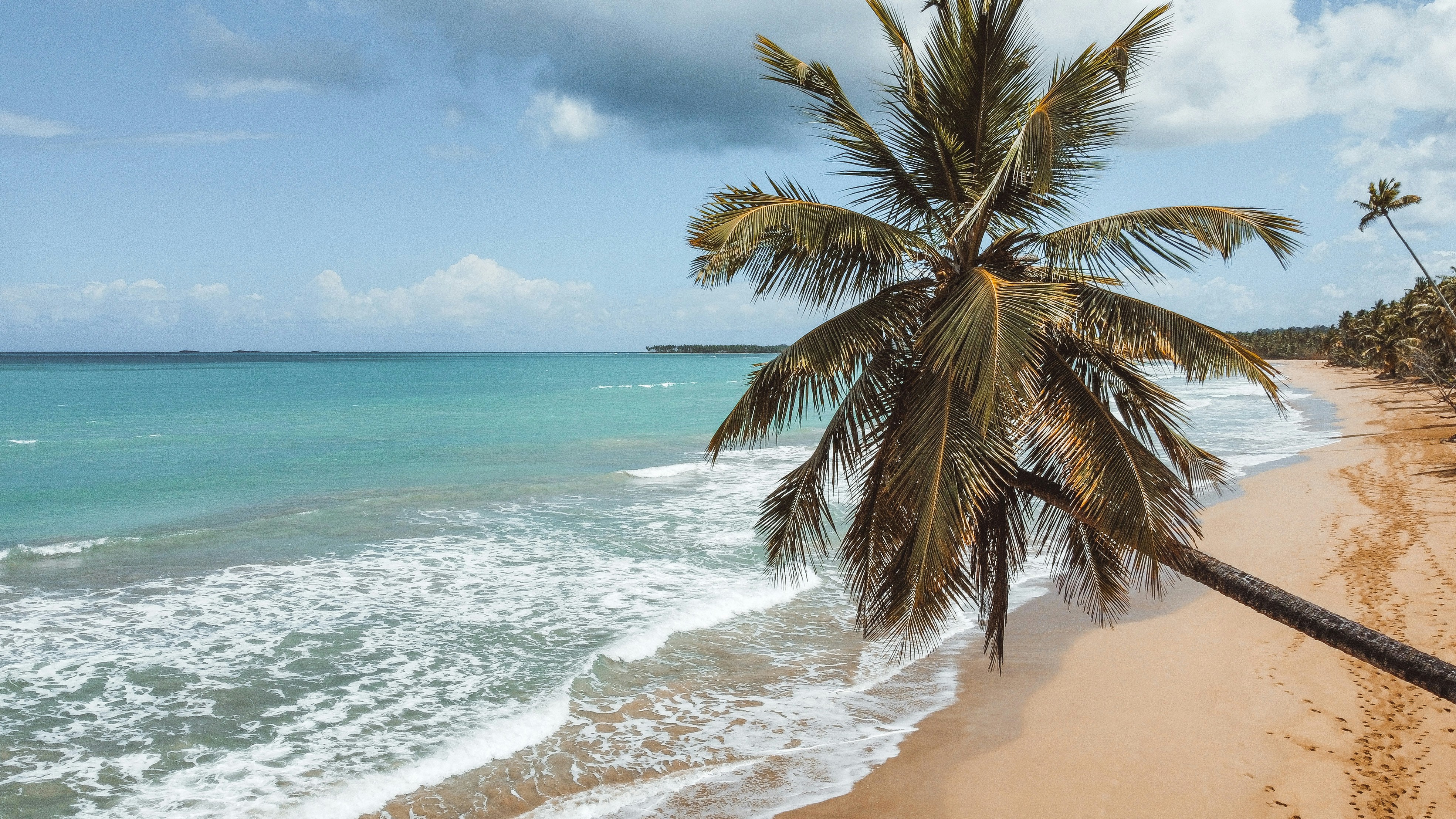 Photo by emelymarchena