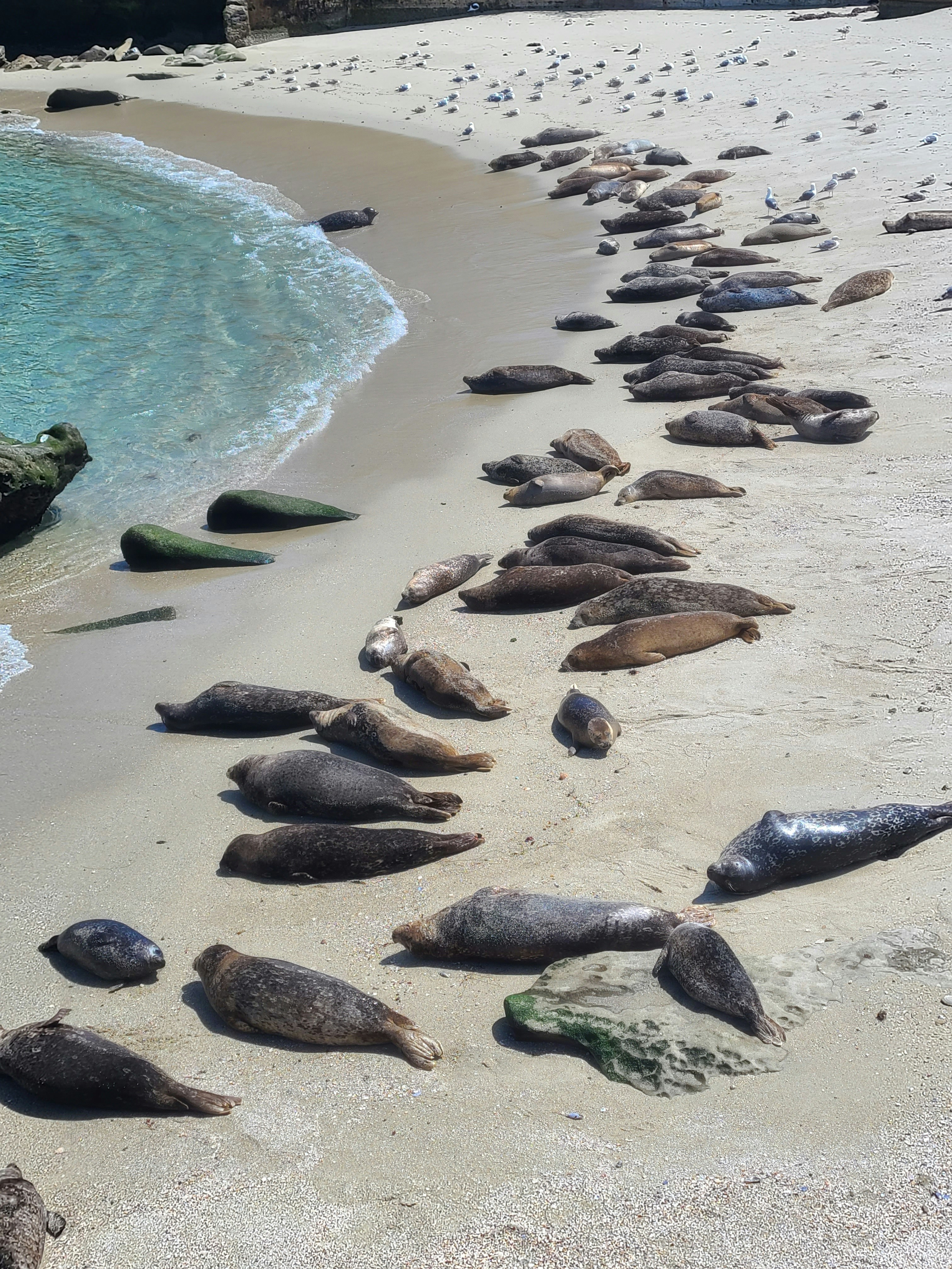 Photo by hhamzerep04