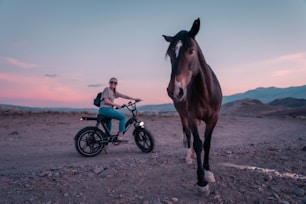 woman in white shirt riding on brown horse during daytime