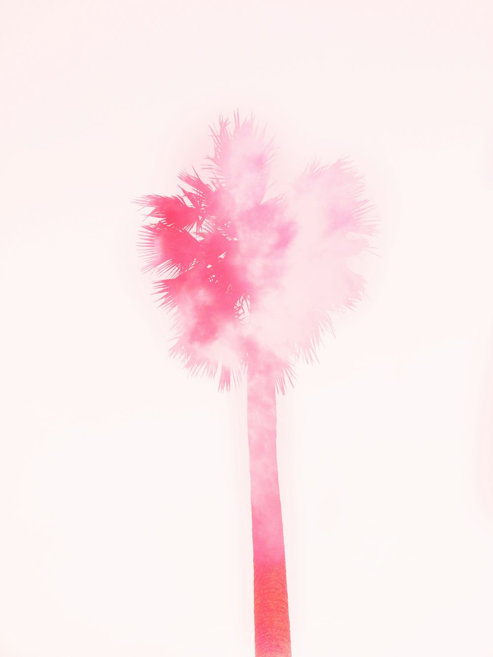 a palm tree with pink smoke coming out of it