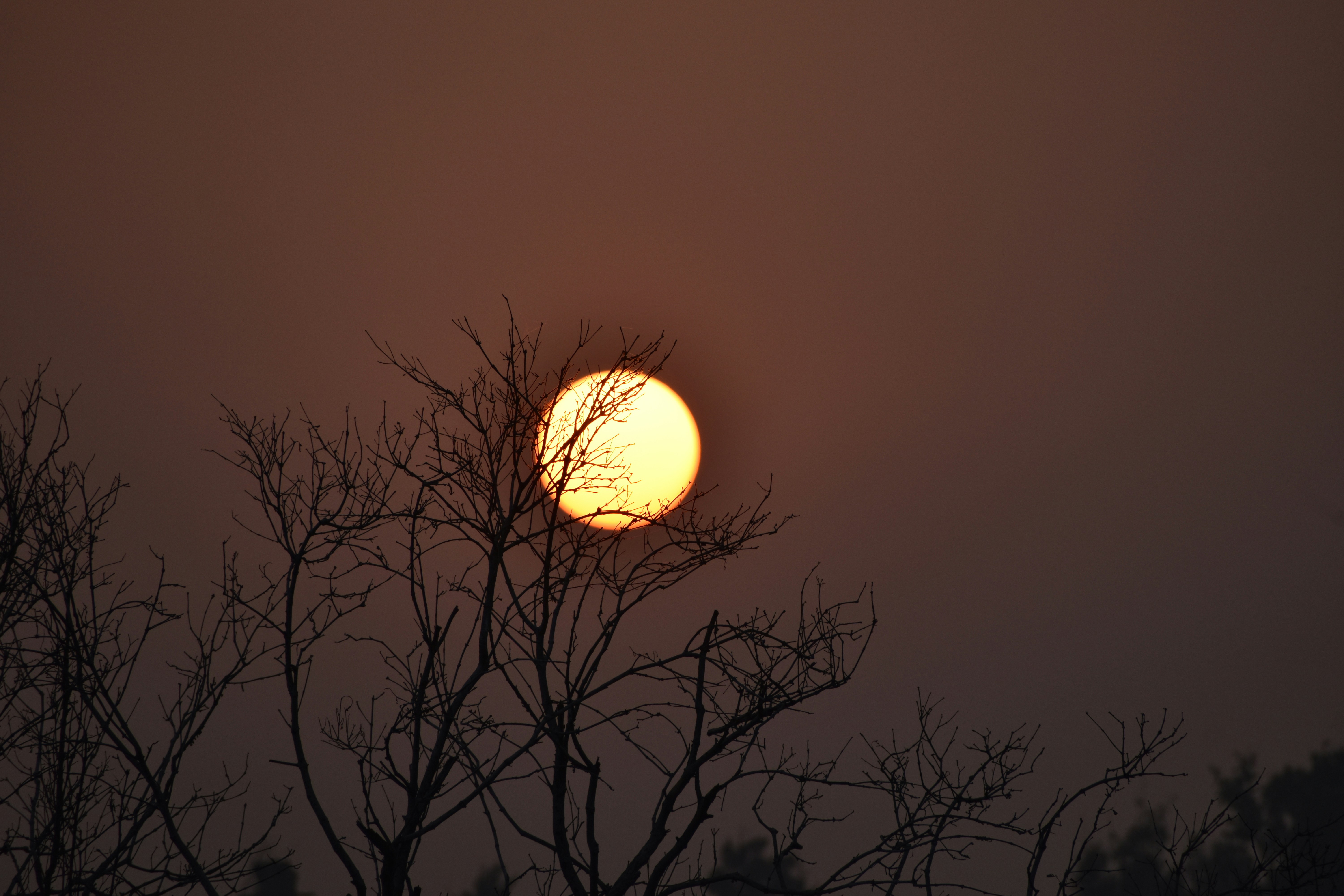 Photo by rahultalukdar1993