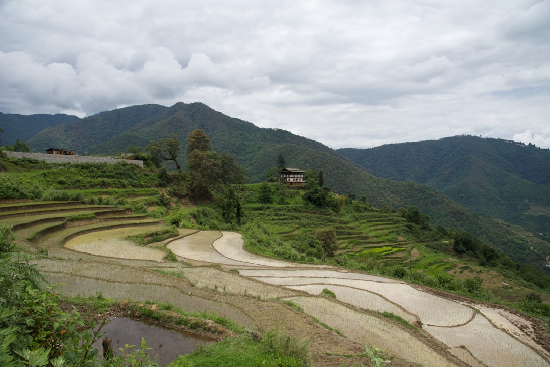 Travel Tips and Stories of Punakha - Thimphu Highway in Bhutan