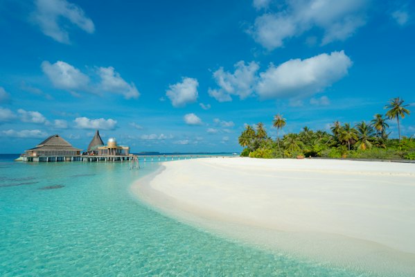 Green trees near body of water under blue sky during daytime — Maldives, Maldives