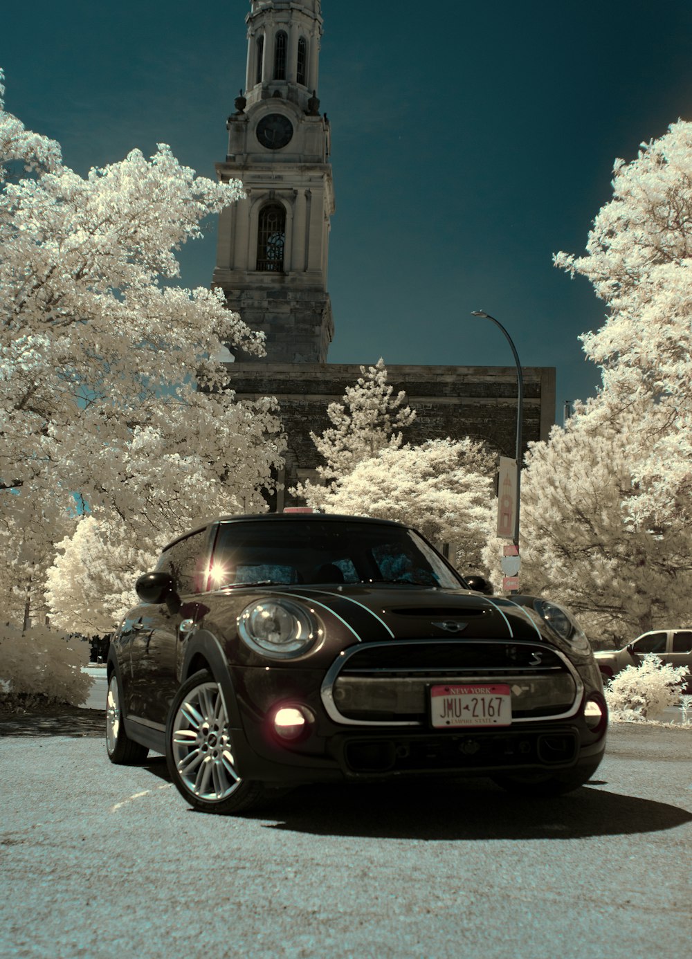 black car parked near white tree during daytime