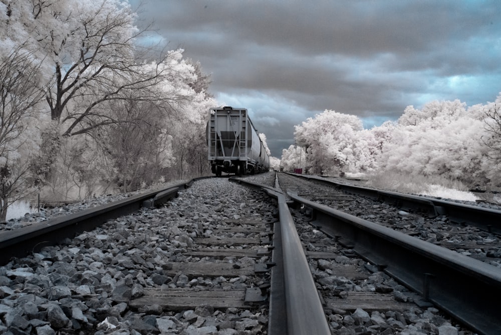 a train traveling down train tracks next to a forest