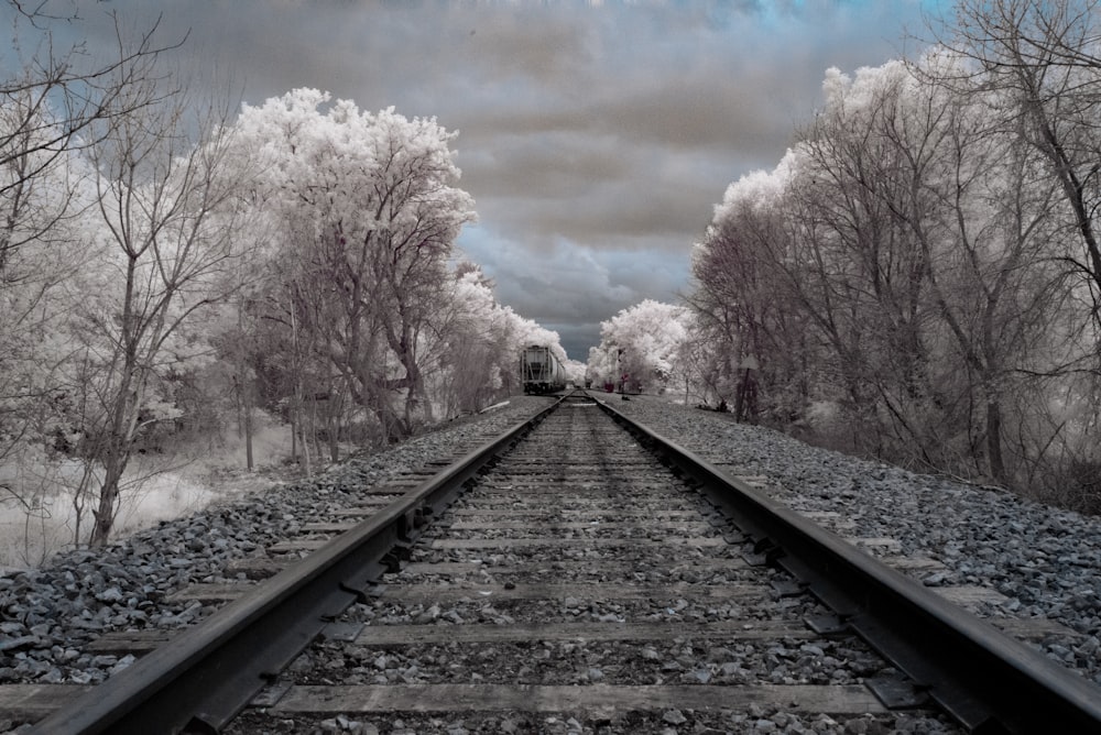 black metal train rail near white trees under white clouds during daytime