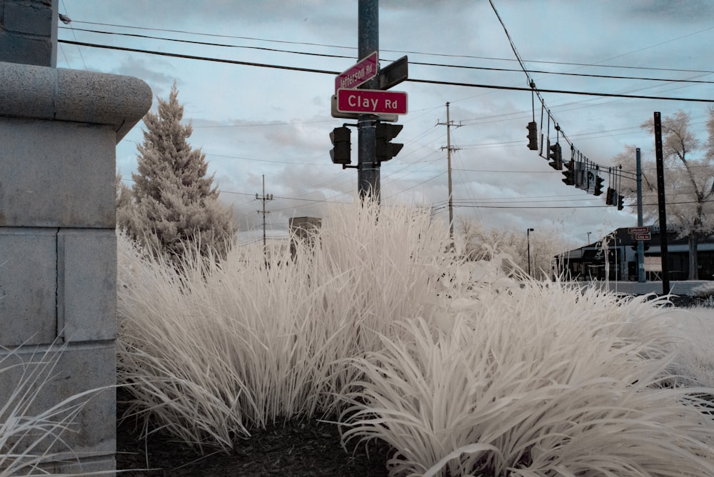 red and white stop sign