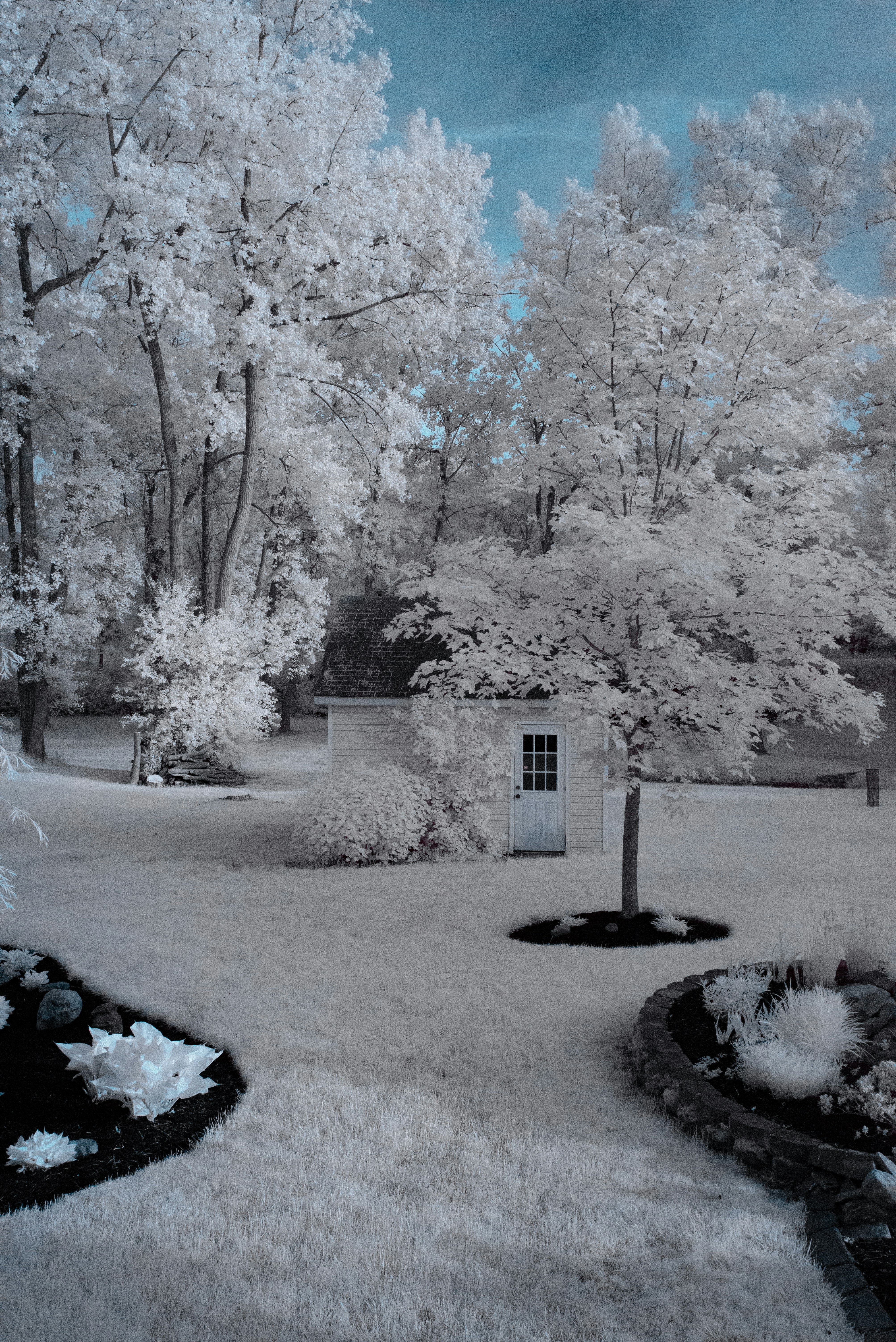 white and black wooden shed surrounded by trees during daytime