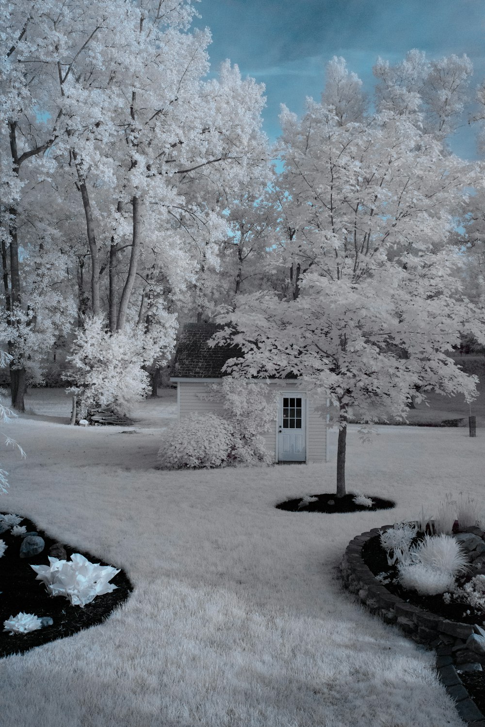 white and black wooden shed surrounded by trees during daytime