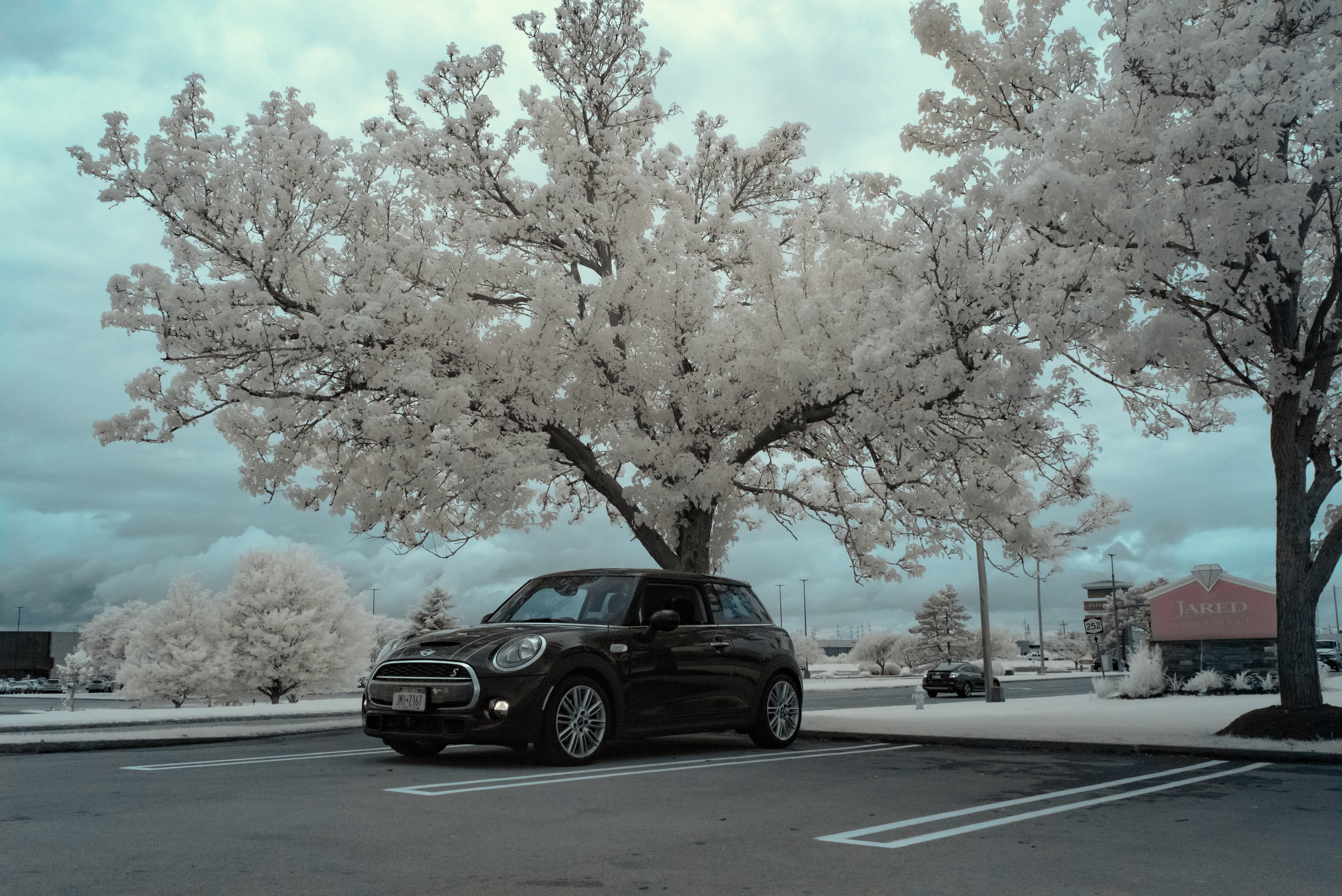 black sedan on road near trees during daytime