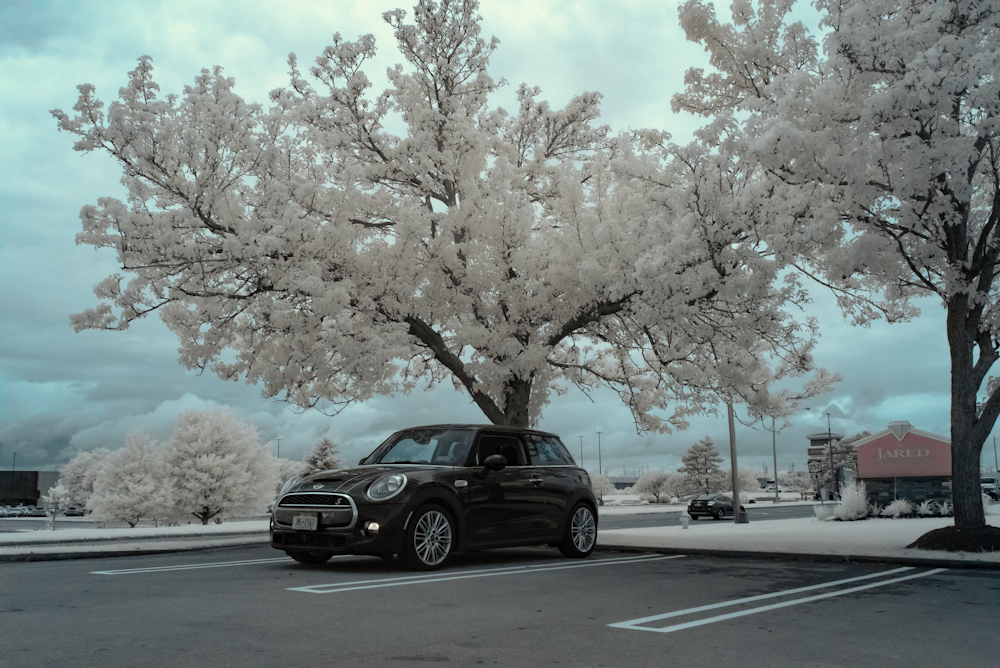 black sedan on road near trees during daytime