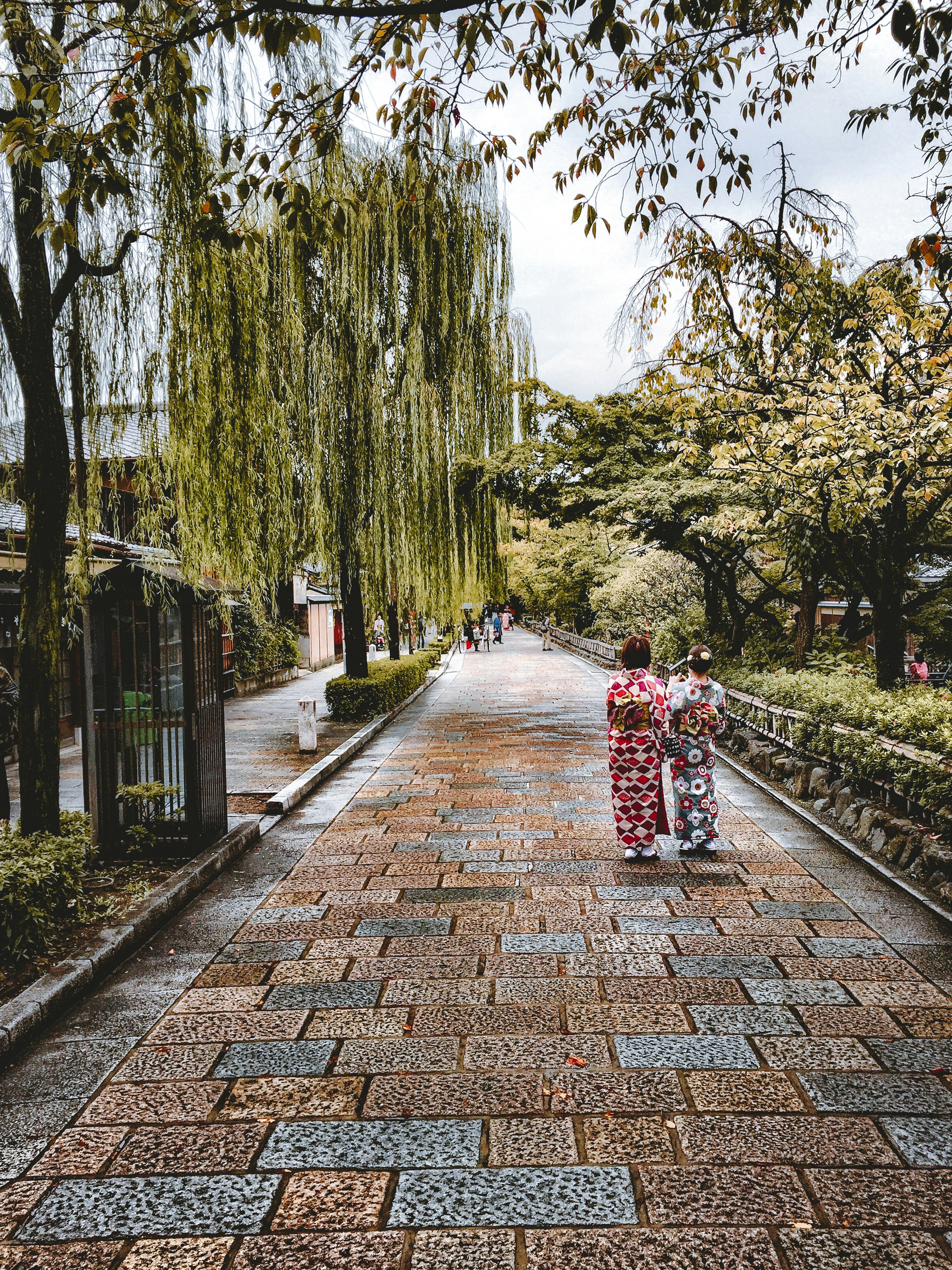 Day 6: Kyoto — Arashiyama Bamboo Grove & Iwatayama Monkey Park