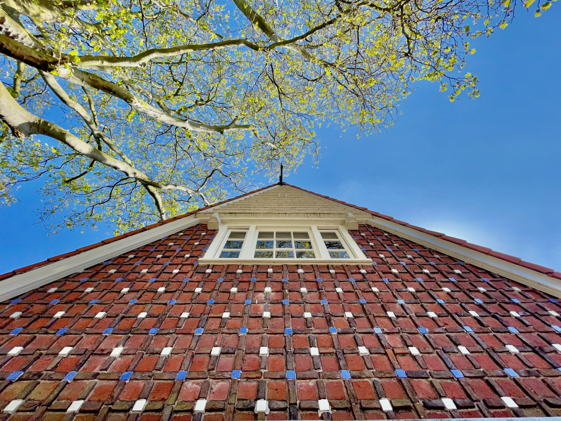 woman wearing yellow long-sleeved dress under white clouds and blue sky during daytime