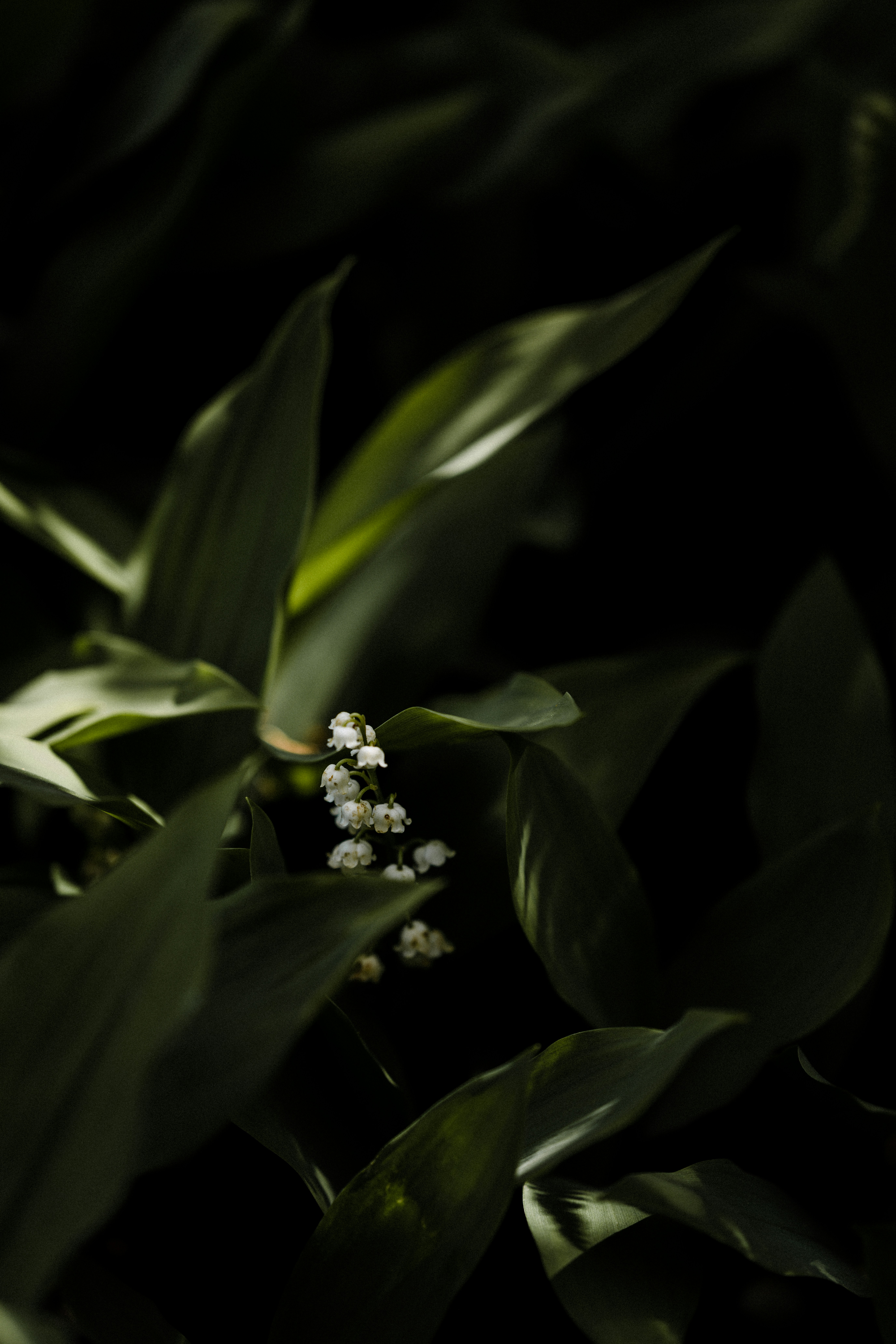 Photo by anniespratt