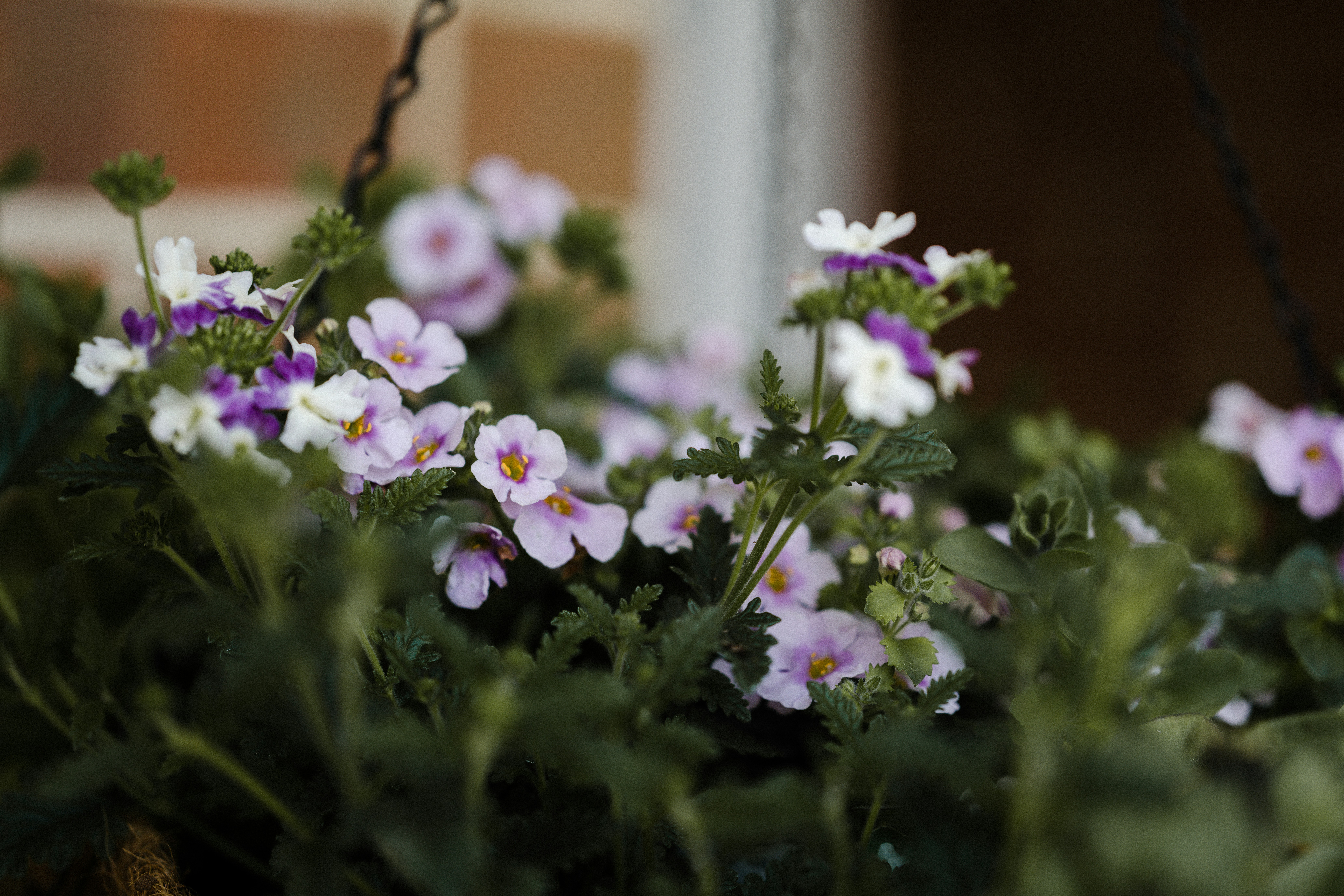 Photo by anniespratt