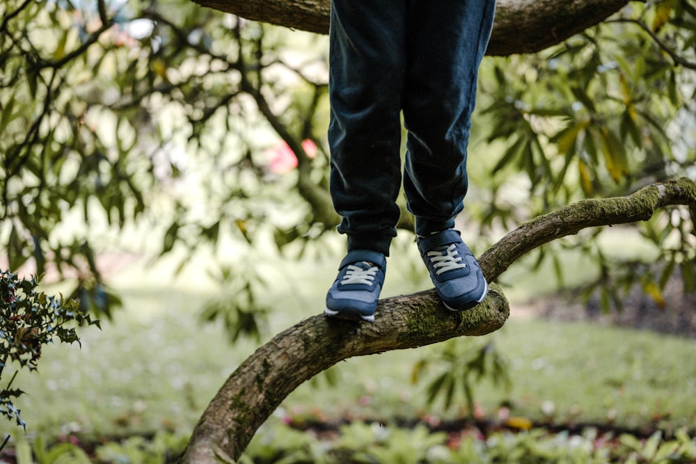 a person standing on a branch of a tree