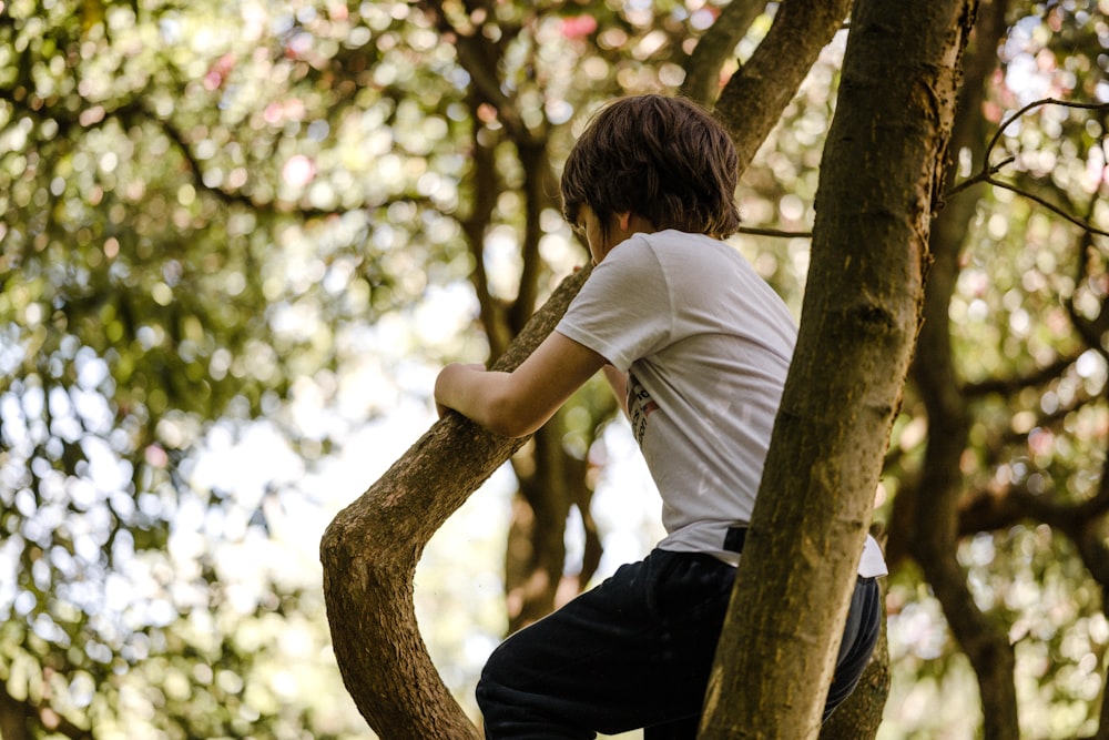 a young man climbing up a tree in a forest