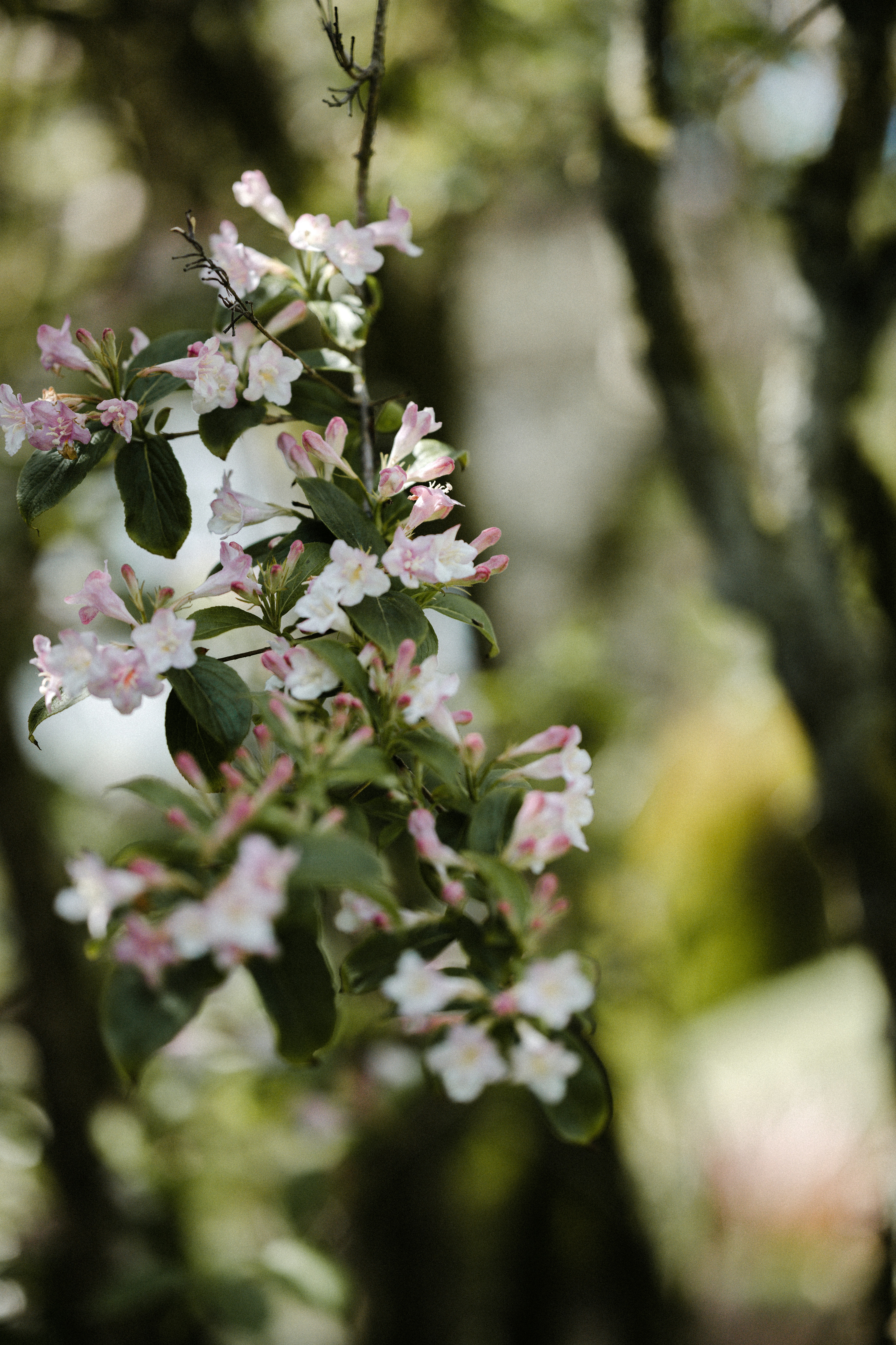 Photo by anniespratt