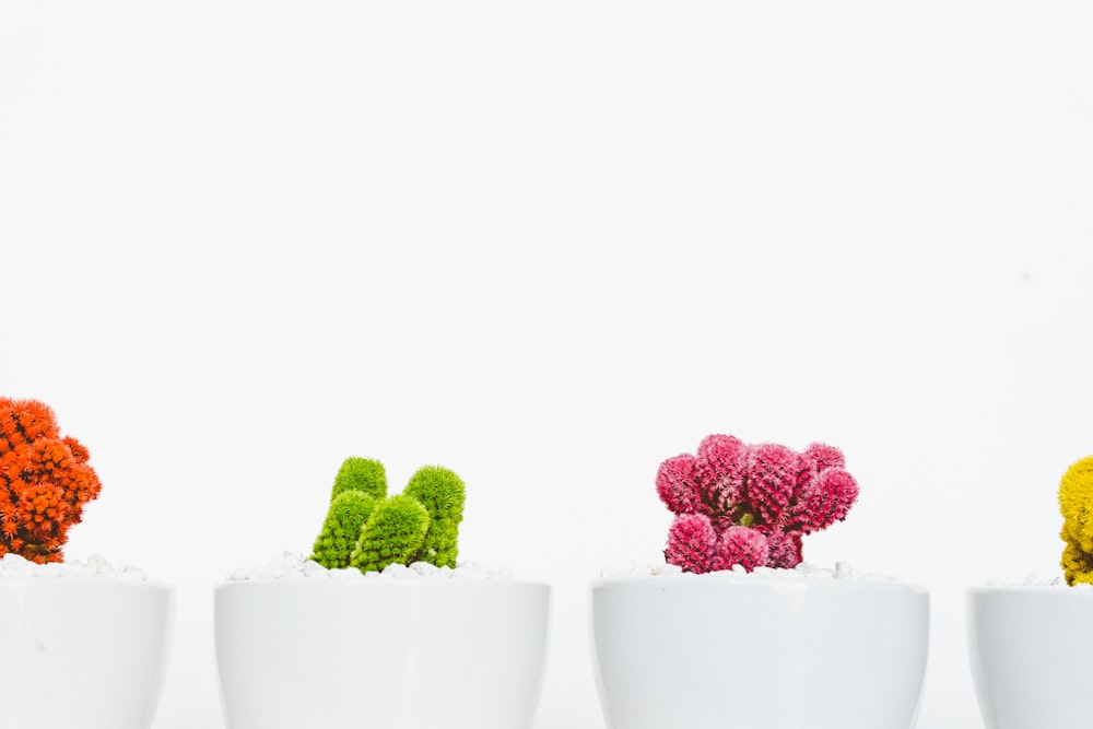 a row of three white vases filled with different colored flowers