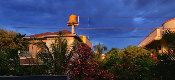 A residential area featuring a house with a tiled roof and a prominent water tank on top. Surrounding the house are lush green trees and vibrant pink flowers. Overhead, power lines stretch under a deep blue, cloudy sky.