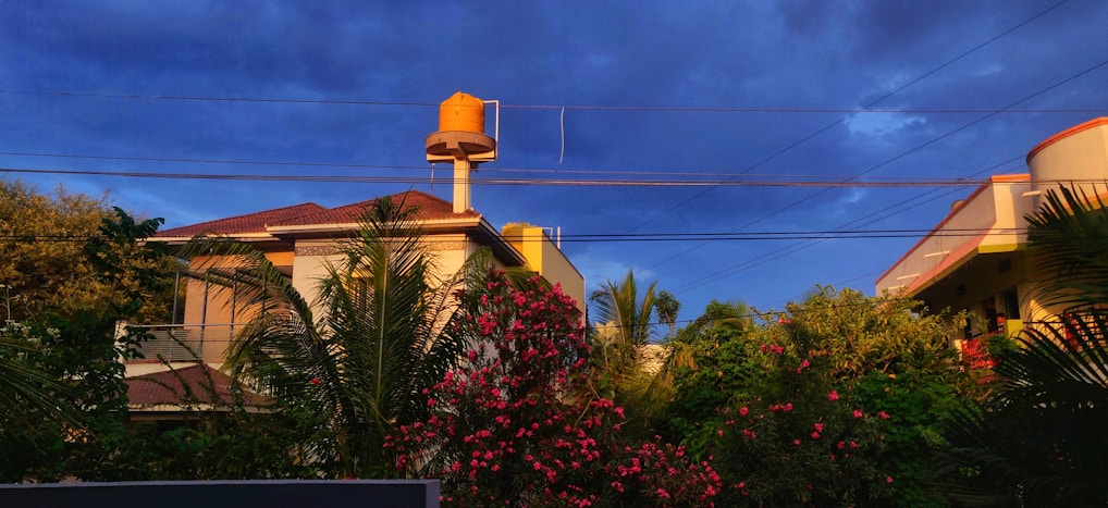 A residential area featuring a house with a tiled roof and a prominent water tank on top. Surrounding the house are lush green trees and vibrant pink flowers. Overhead, power lines stretch under a deep blue, cloudy sky.